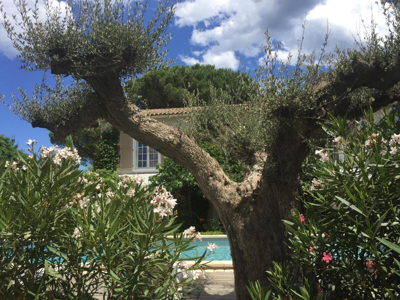 Villa La Begude - Boutique Luxury B&B Saint-Tropez Exteriör bild
